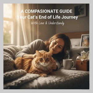 Signs of a Dying Cat: A Guide to End-of-Life Care