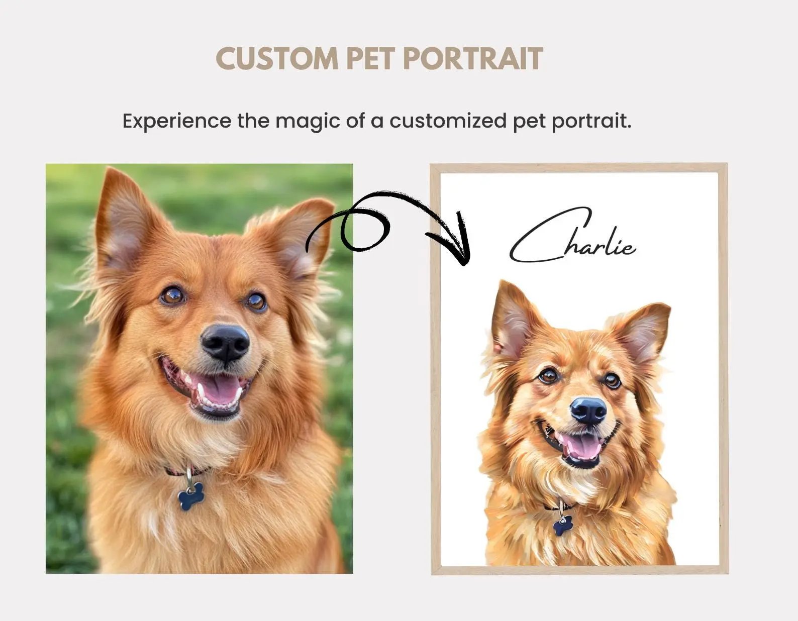 Hand Painted Custom Pet Oil Painting