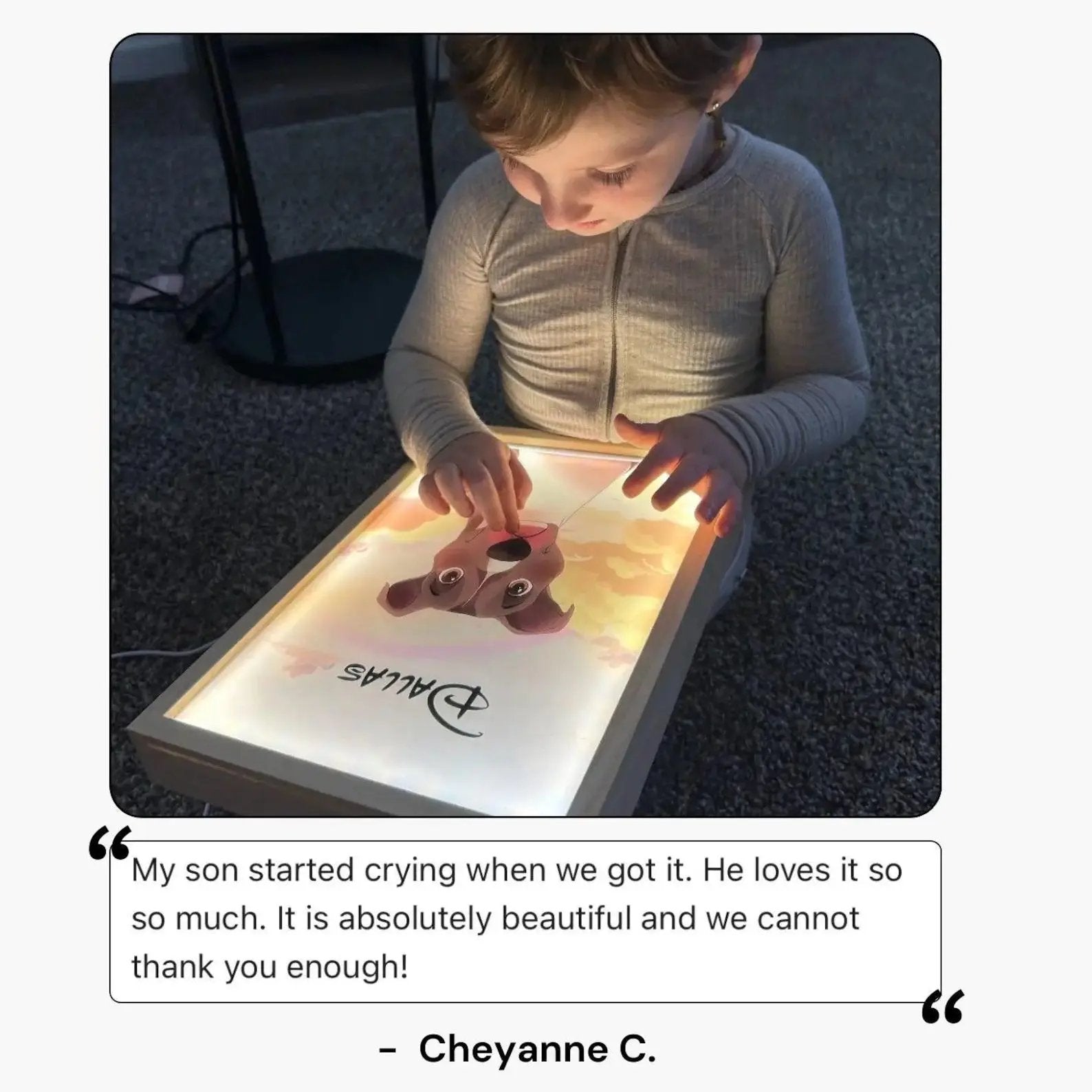 Custom Pet Portrait Night Light