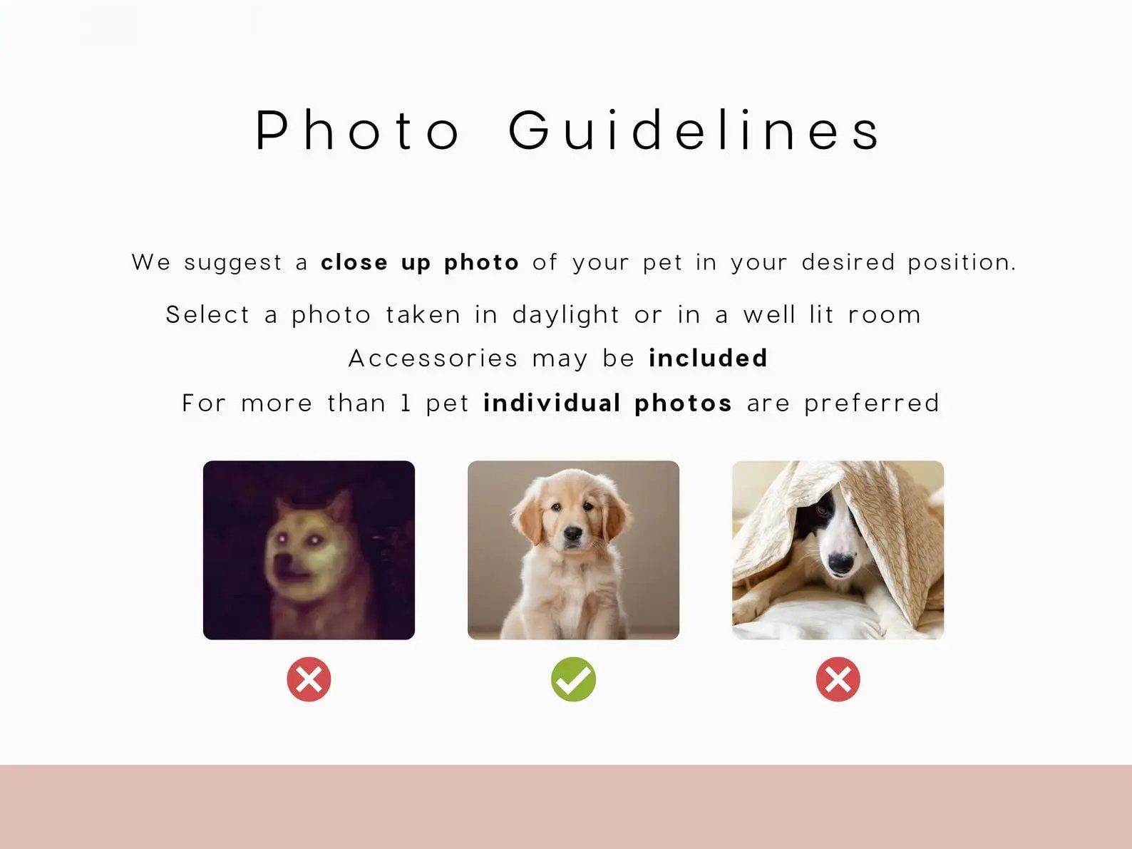 Custom Watercolor Pet Portrait from Photo